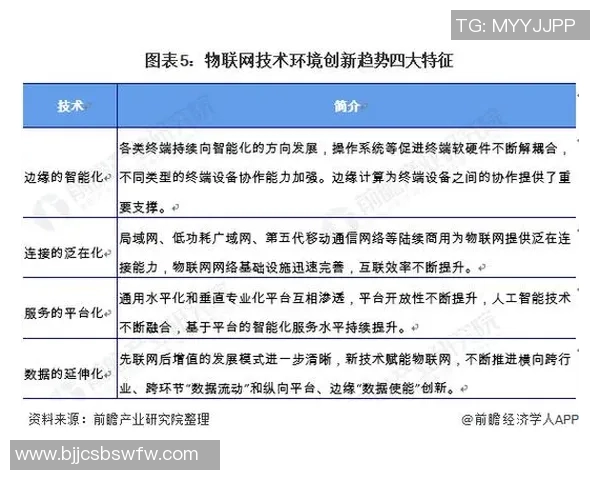 杭州排球队技术分析与战术创新的深度探讨与展望