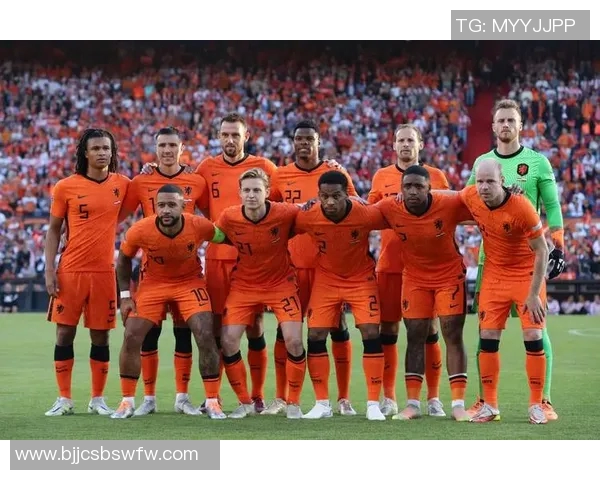 北爱尔兰与荷兰足球对决结果揭晓精彩瞬间回顾