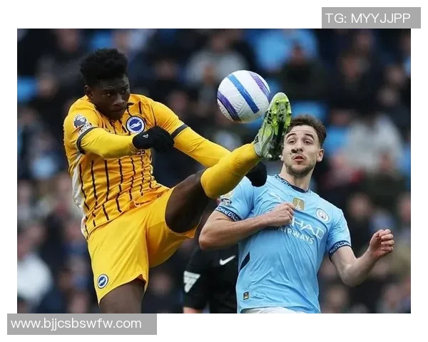 布赖顿主场迎战赫尔城期待精彩对决与激烈竞争