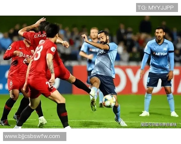 惠灵顿凤凰迎战纽卡斯托期待激烈对决与精彩瞬间 惠灵顿凤凰迎战纽卡斯托期待激烈对决与精彩瞬间