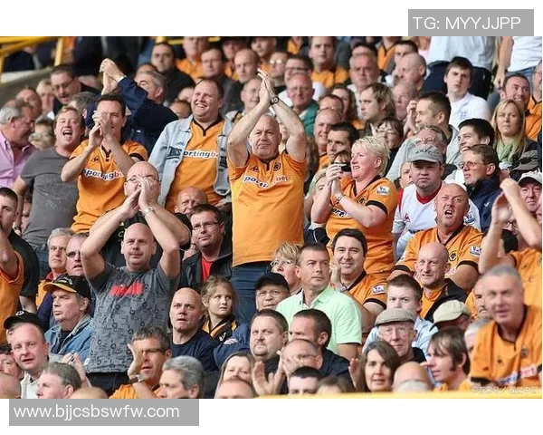 福利特对赫尔城直播赛事全程回顾与精彩瞬间分析