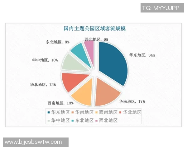 赖斯的外交策略与全球影响力分析探讨